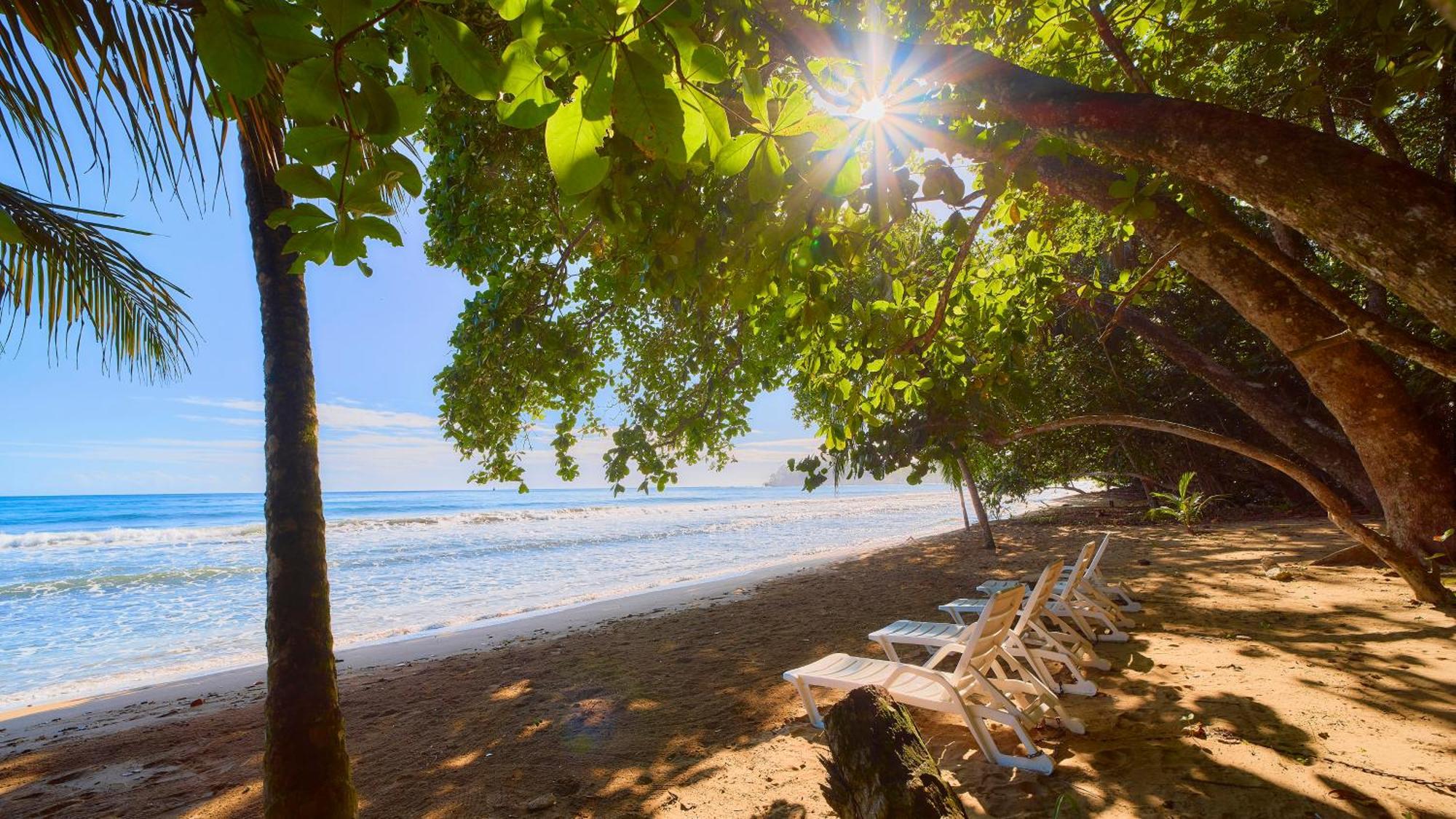 Dragonfly Beachfront Villas-Adult Only Punta Uva Exterior foto